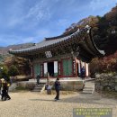 종임 | 2025년 11월 홍천 공작산 수타사(孔雀山 壽陀寺)