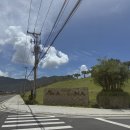 안성맞춤에너지 | 나트랑 숙소 순위 추천 아미아나 깜란 가족여행 안성맞춤