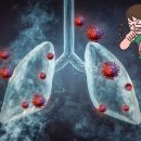 이로움메디컬 이미지