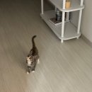 소근소근 이미지