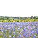 혜화목장 이미지