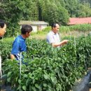 서천군농업기술센터 이미지