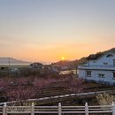 선학농장 이미지