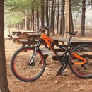 난지천공원 이미지