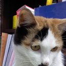 다대2동-2 이미지