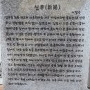 까치로6번길 Daum카페