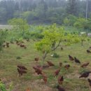 현우농장 이미지