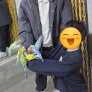 앵무새동물원 | <청주 쥬니멀 동물원> 알파카/ 카피바라/ 앵무새 먹이주기, 닥터피쉬 체험하기~♡