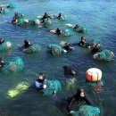 신흥2리 이미지