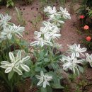 지동산촌마을 이미지