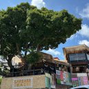 바바라 발리 | 발리 여행후기 🎐 “바바라발리”