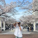 생초중학교 | 진해 군항제 먹거리, 군항빌리지 맥주와 먹거리 솔직 리뷰