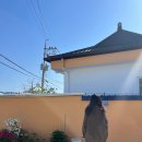 금화민박 이미지