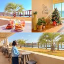 성산플로우 | 성산 카페 추천 디저트 맛있는 제주도 성산 브런치 카페