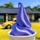 명성라벤더
