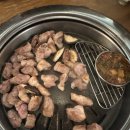 밥줘고기줘