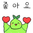 와이제이팩 이미지