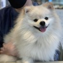 라자미용실