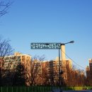 압구정-107 이미지