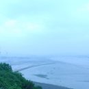전곡수산시장 이미지