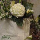 리빙플라워 이미지