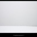 세상목장 이미지