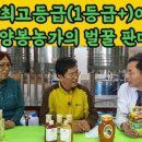 매노마케팅