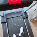 [블챌]쭈고(ฅ ᐙ )ฅ