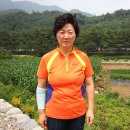 허니문온수매트 이미지