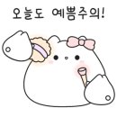 비채움뷰티