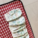 연세 키즈풀 이미지