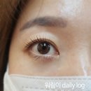 도나래쉬프로 | 이대 속눈썹펌 신촌 속눈썹 도나래쉬프로 후기