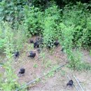 원스농장 이미지