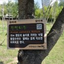 강제동 한방공원 이미지