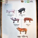 포항돼지찌개집 이미지