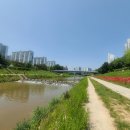 제1풍영정공원 이미지