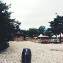 마운틴관광농원 이미지