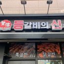 등신유선생 이미지
