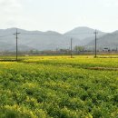 남미륵사 이미지