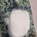 겟잇커피 | 닥터겟잇 이노시톨 영양제 꾸준히 먹어본 솔직 후기, 일상 균형 관리에 도움