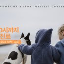 원곡동물병원 네이버블로그