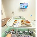 한마음약국 | 담낭(쓸개)제거술 (ft.창원 한마음 병원)