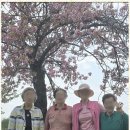 디딤돌케어