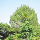 성마루미술관 이미지