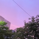 [인라인] 인라인 보호대 검색 후기