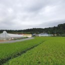 송산2리 마을회관 이미지