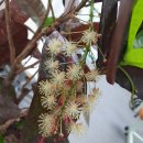 성베드로한방병원 이미지