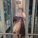 [인천국제공항] 겨울 외투 맡기기 &#39;크린업에어&#39;