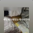 서연 민박 이미지