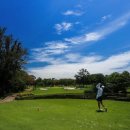 유소연 함장 ( 통산 212 경기 톱 71위 ) LPGA 투어 세브론 챔피언십 대회 성적 2022 04.04 이미지